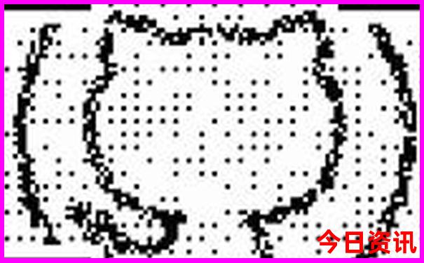 重庆2日游必去的景点